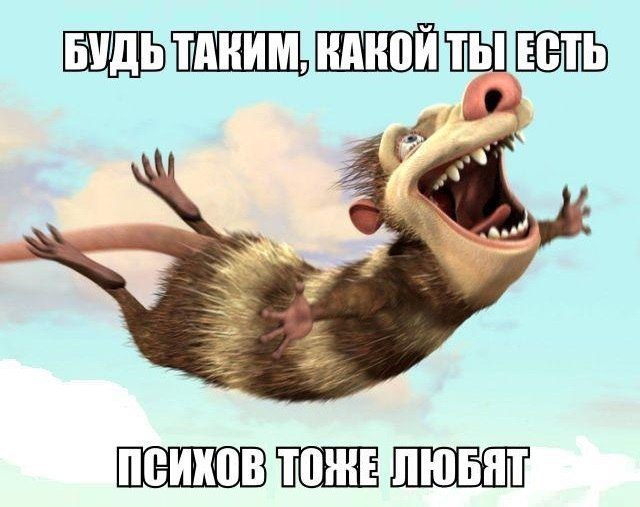 Картинки веселые и интересные