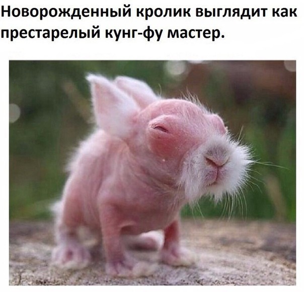 Подборка интересных и веселых картинок