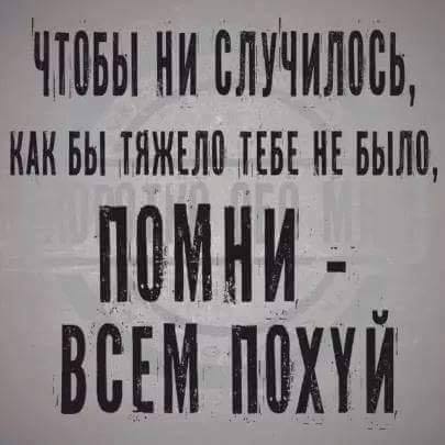 Смешные комментарии из социальных сетей 28.12.2018