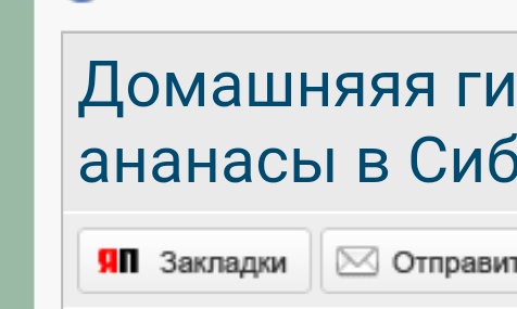 Домашняяя гидропоника. Годовой отчет. Про ананасы в Сибири