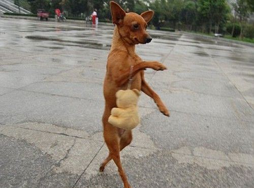 Коварно подкралась сзади и...