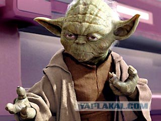 Сердитый кот