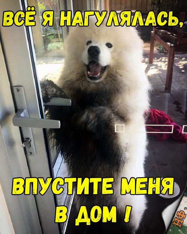 Прикольные картинки абавсём
