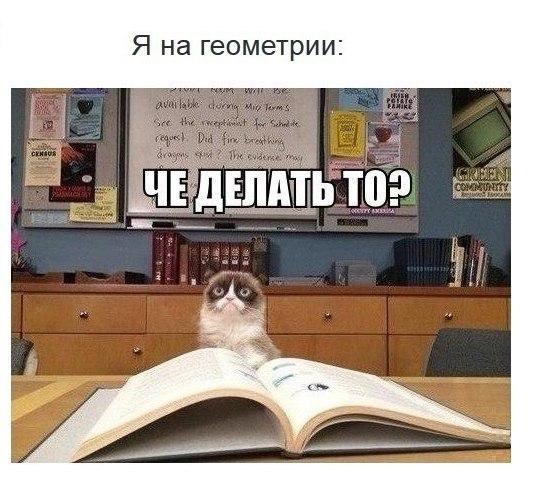 Пикчевая ерунда