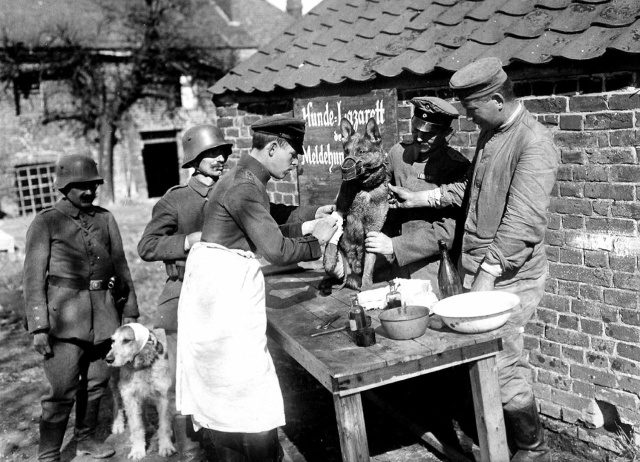 Интересные и редкие ретро-фотографии