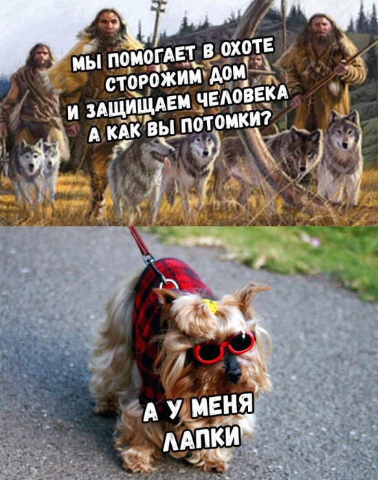 Картинки, которые я НЕ видел на портале