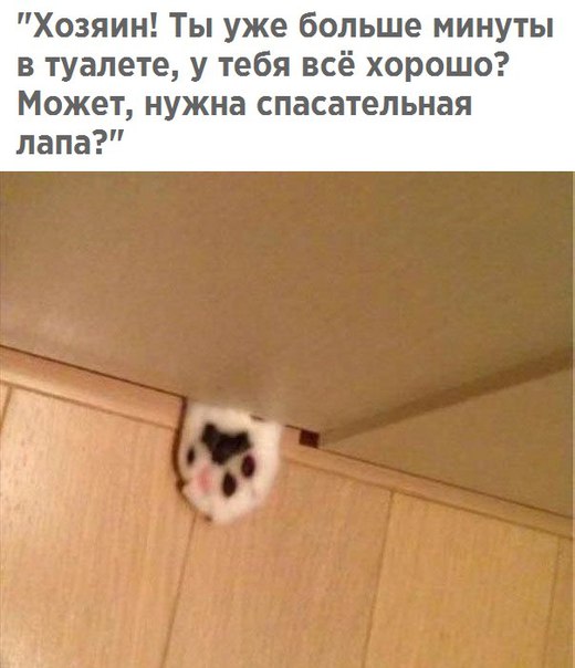 Чуток картинок 15.02.20