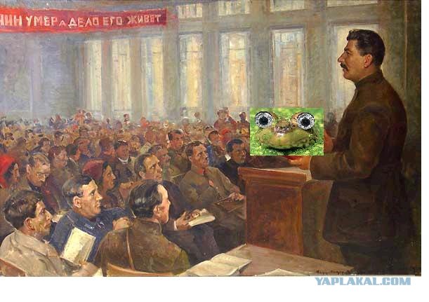 Фотожаба