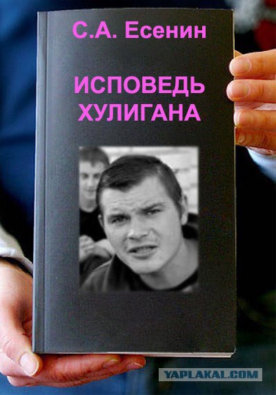 Фотожаба: Книги!