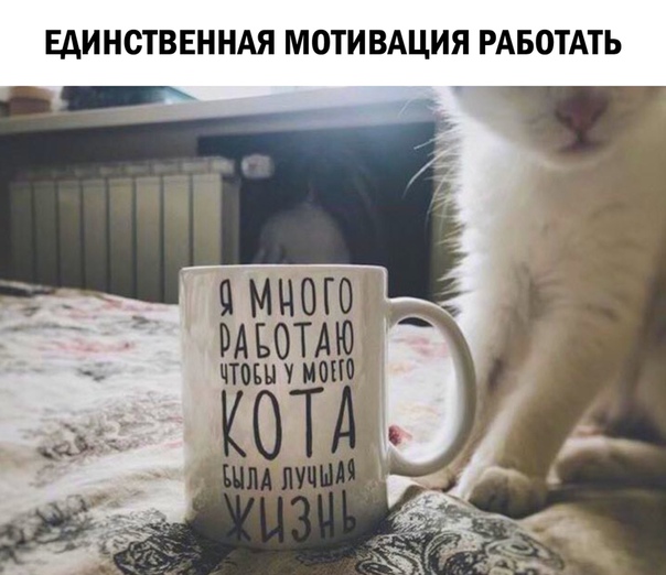 Немного картинок для настроения 01.06.20