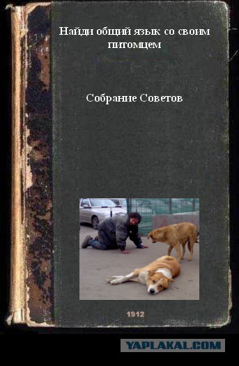 Фотожаба: учебник
