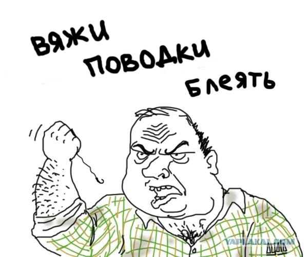 Будь мужиком, скажи что думаешь!