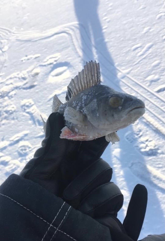 Последствия зимней рыбалки