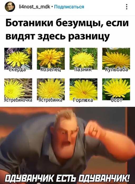 Картинки и мемы для настроения 008