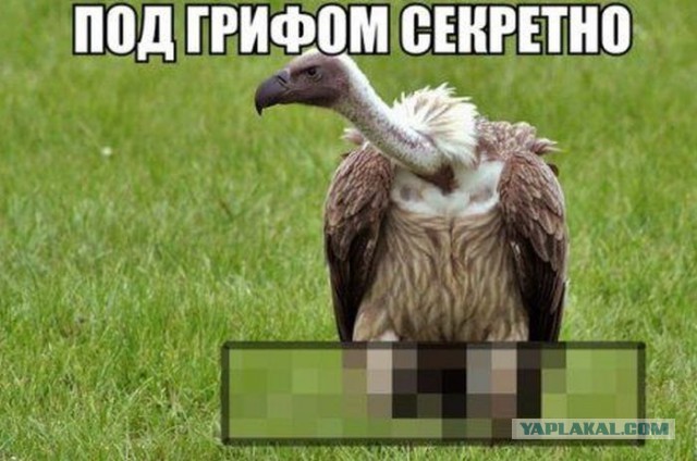 На будущее российских пенсий наложили гриф «секретно»