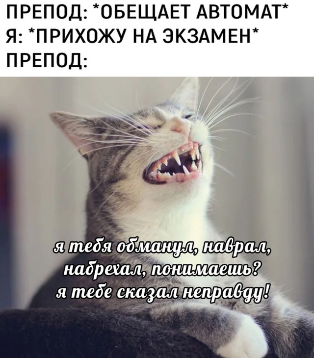 Мадам и месье бонжур