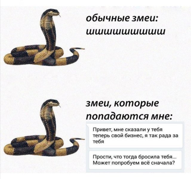 Алкопост 27.03.21