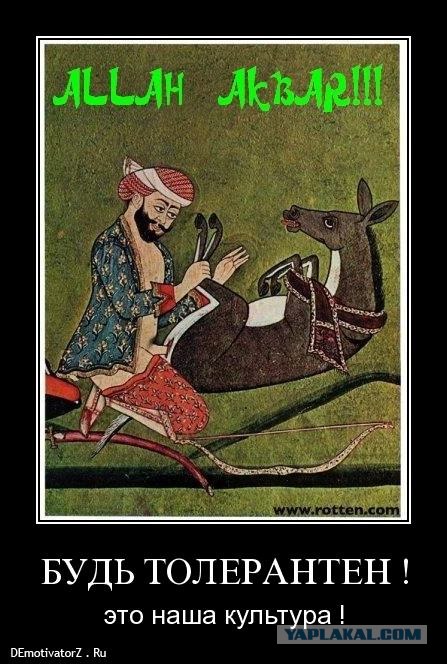 В защиту прав животных