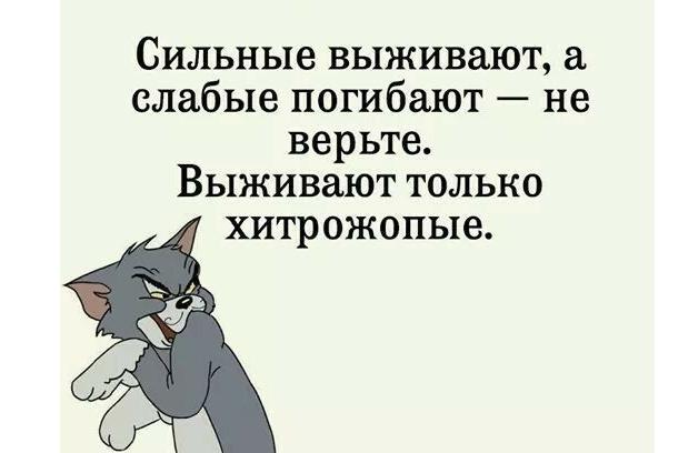 Картинки и мемы для настроения