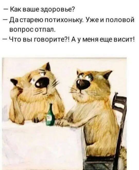 Картинки и мемы для настроения 02.08.2021