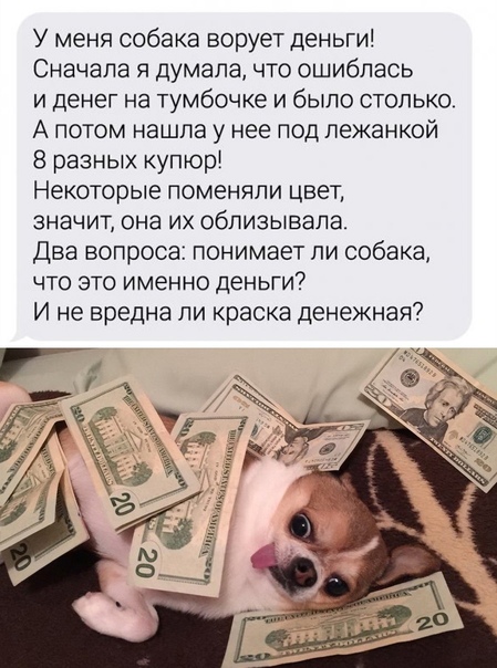 Картинки и мемы для настроения 18.08.2021
