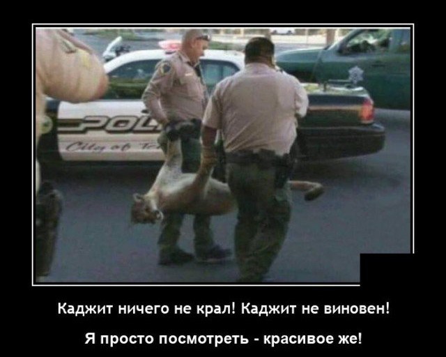 Всякие разные картинки 22.11.2021