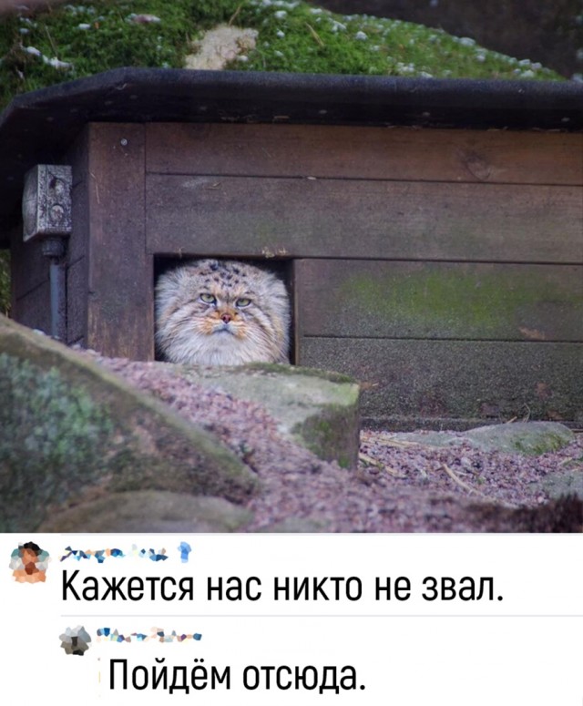 Так себе картинки 07.04.22