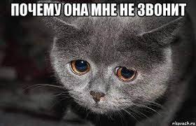 Досуг