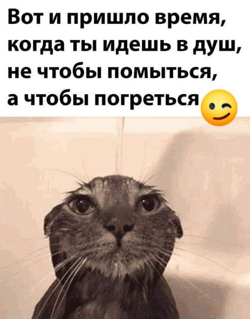 Картинки и мемы, всем хороших выходных