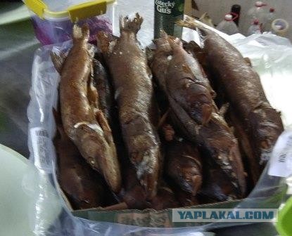 Рыбалка