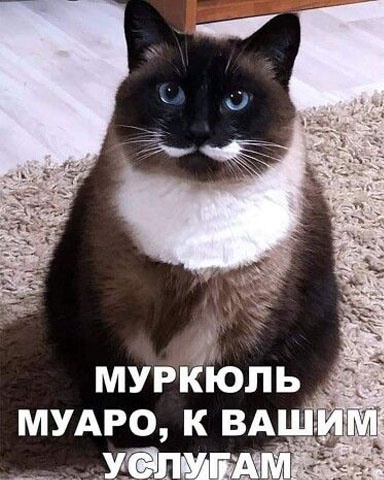 Картинки и мемы, всем хороших выходных