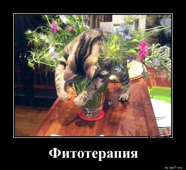 Картинки с надписями 09.04.23