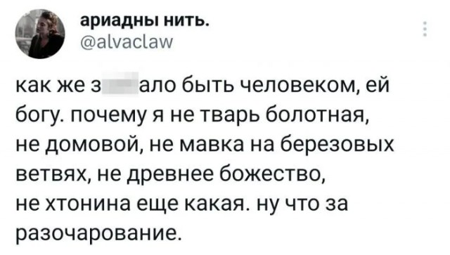 Лютейшего разочарования тема