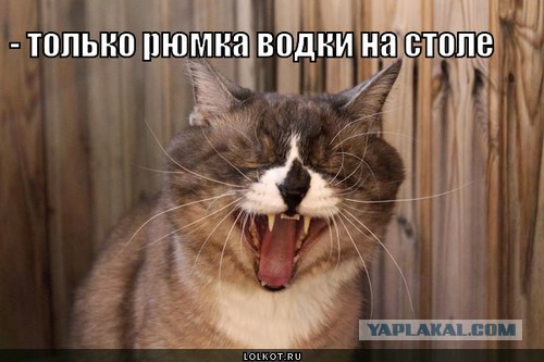 Грету Тунберг задержали в Гааге