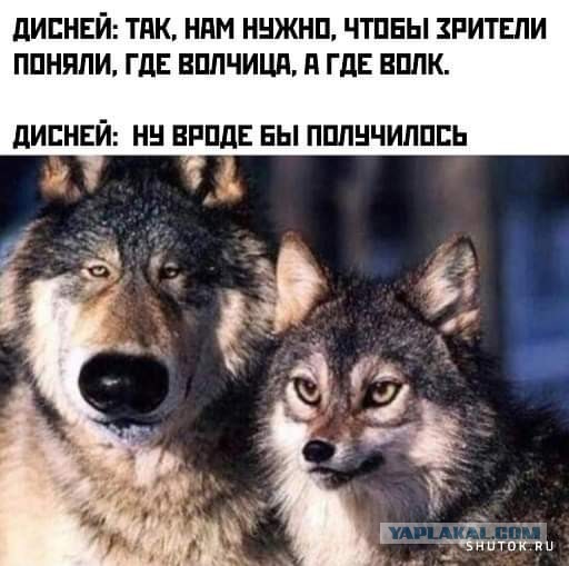 Пятничные картинки.