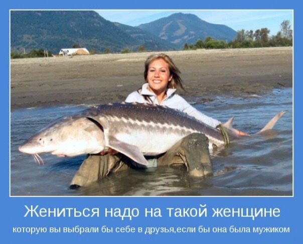 Так себе картинки 14.03.25