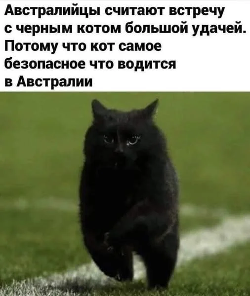 Смешные картинки с надписями на пятницу