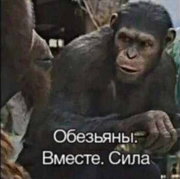 В Чебоксарах мигранты избили местных жителей