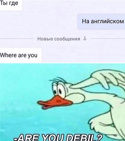 Веселое настроение в картинках (14.08.2025)