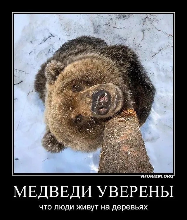 Ну что котята! Сундук деграданта! Выпуск номер 4!