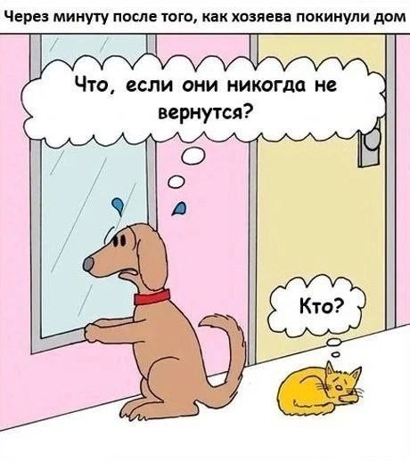 Немного картинкафф для настроения (баяны-перебаяны)