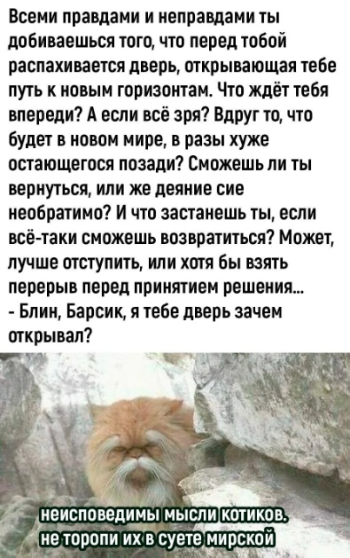 Так себе картинки 06.09.25