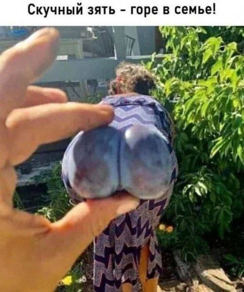 Забавные и не очень скромные картинки - 14
