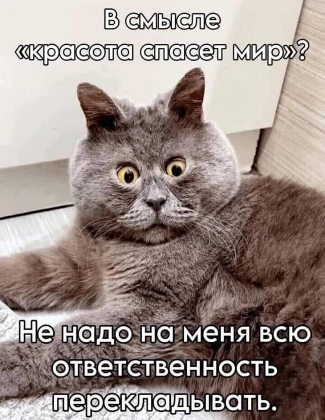 Шерстяные пидо.... братья наши меньшие