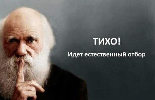 Мужчине разорвало желудок после выпитого коктейля с жидким азотом на корпоративе.