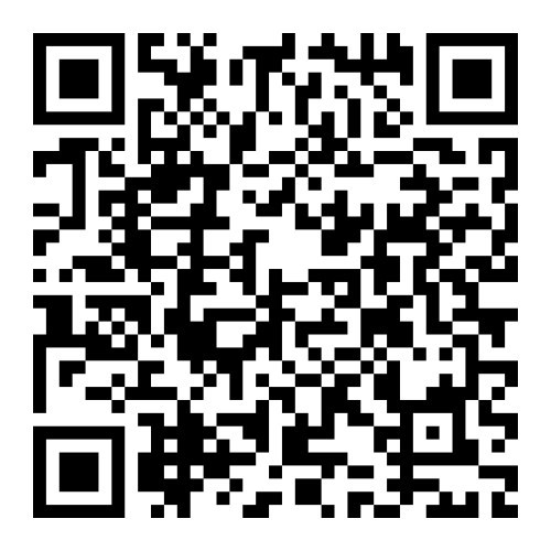 Сайты знакомств в прошлом. Теперь женихов ищут по QR-коду