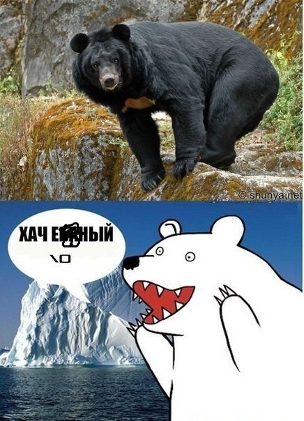 Где-то на Таймыре