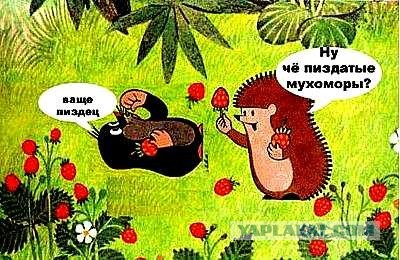 Поводов сомневать в стабильности российской экономики нет, заявил Песков