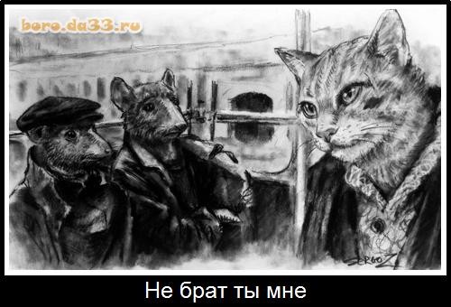 Незамеченная смерть в фильме «Брат»