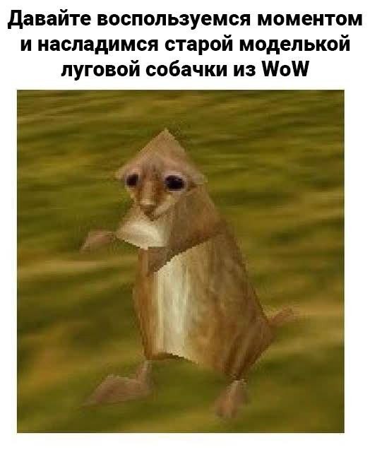 Картинки для деградации 279 (разной степени свежести)